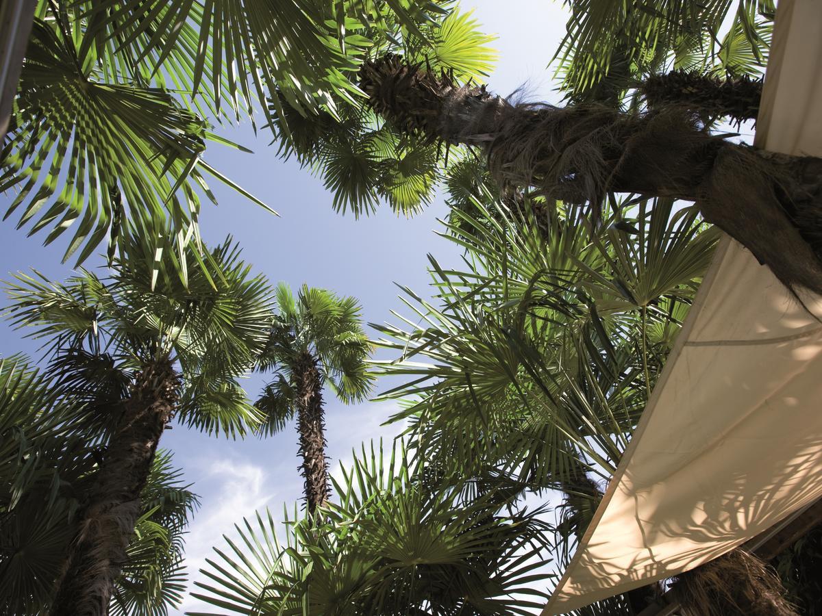 Delta Resort Apartments アスコナ エクステリア 写真